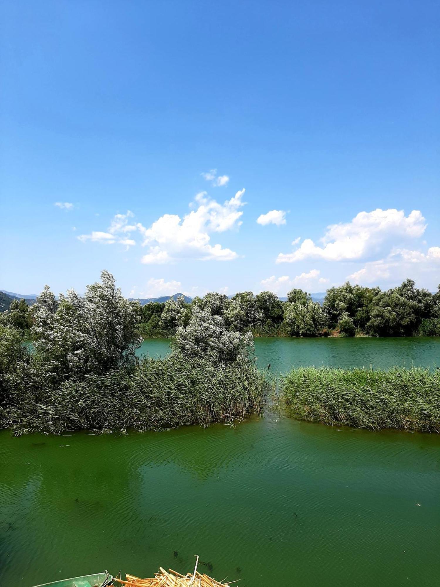 Skadar Lake House Virpazar Exterior photo