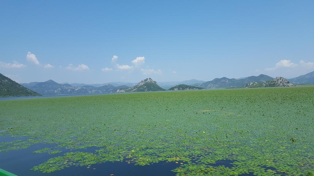 Skadar Lake House Virpazar Exterior photo